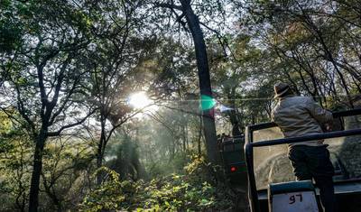 Fotograficzna wycieczka z tygrysami w Ranthambore — 3