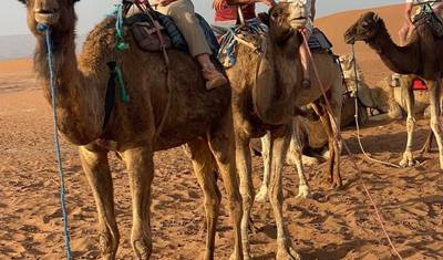 10-dniowa wycieczka po Maroku z Casablanki do Marrakeszu przez Chefchaouen i Fez — 2