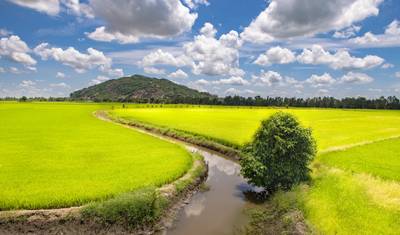 Descoberta do Mekong (Sentido Sul) 2025 — 5
