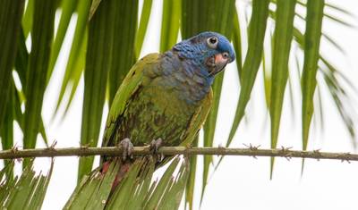 Experiência de 4 Dias em Lodge Sustentável na Amazônia — 3