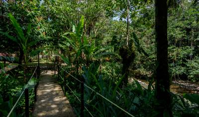 4 Day Amazon Safari Experience — 4