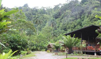 4 Day Amazon Safari Experience — 2