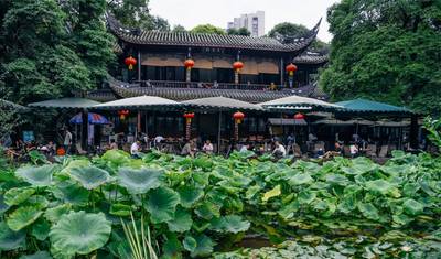 Chengdu’s Natural Panda Paradise — 4