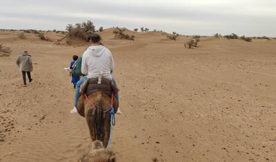 7 Days Tour From Marrakech to Casablanca (Private) — 5
