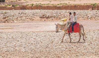 Rodzinna Przygoda w Maroku: Agadir, Przedgórze Atlasu i Przeżycia w Marrakeszu | 7 Dni — 3