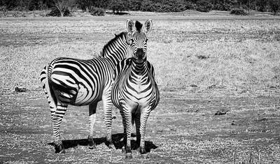 11 Days Exploring The 5 UNESCO World Heritage Sites In Zimbabwe — 5