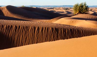 砂漠の冒険：MarrakechからErg Lihoudi Desert Campへ2日間プライベートツアー — 2