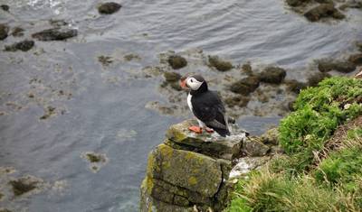 8 Days Westfjords of Iceland — 4