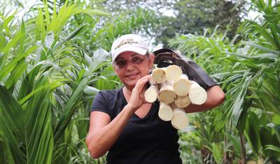 Costa Rica Completa — 2
