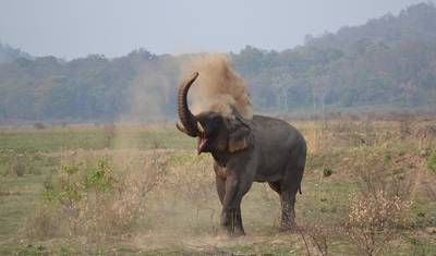 Golden Triangle with Ranthambore and Jim Corbett National Park — 2