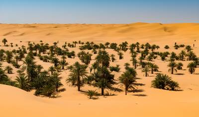 جولة وادي مزاب والواحات — 2