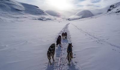 6 day Yellowstone Winter Wonderland Tour — 2