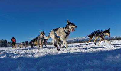 6 day Yellowstone Winter Wonderland Tour — 3