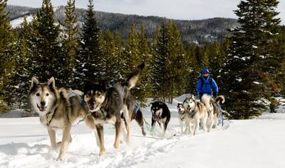 6 day Yellowstone Winter Wonderland Tour — 4
