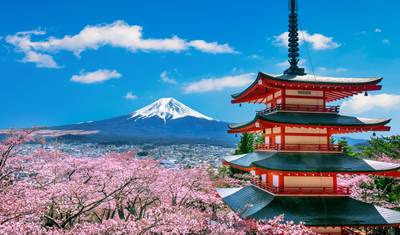 Wycieczka objazdowa - Japonia Sumo — 4