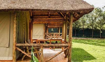 5 أيام هجرة Ndutu — 5