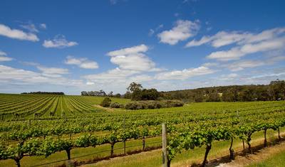 أفضل ما في Perth وMargaret River وRottnest Island — 2