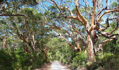 أفضل ما في Perth وMargaret River وRottnest Island — 3