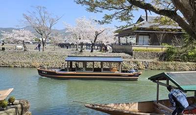 Japan Essentials 9 Day - One Life Adventures — 5