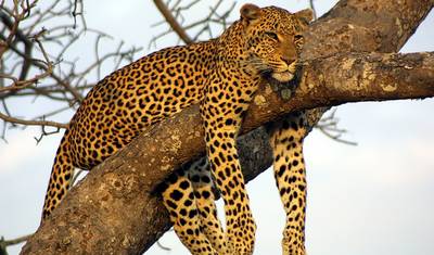 Joburg to Victoria Falls - 12 Days — 4