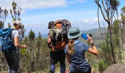 8-Days Mount Kilimanjaro Safari, Marangu Route — 3