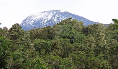 8-Days Mount Kilimanjaro Safari, Marangu Route — 5