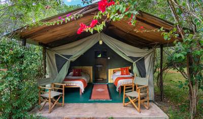 3 Days Masai Mara Safaris — 3