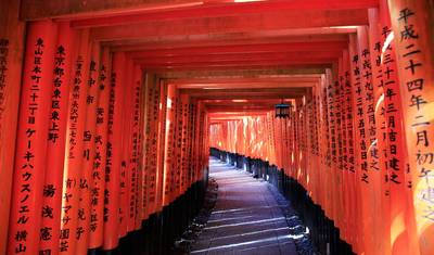 Viagem de Outono no Japão Incluindo a Trilha Kumano Kodo (Personalizável Privado) — 5