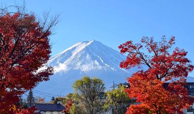 Ultimate Japan Honeymoon (Private Tailored) — 5
