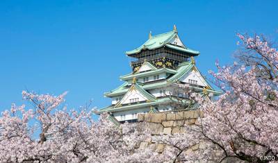 Cherry Blossoms of Japan Tour(Tailor-Made Private) — 3
