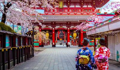 Cherry Blossoms of Japan Tour(Tailor-Made Private) — 5