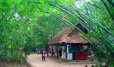 Wycieczka jednodniowa: tunele Cu Chi + Delta Mekongu — 4