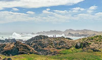 Best of Tasmania — 5
