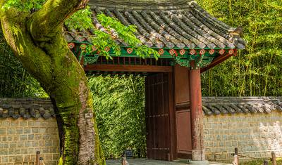 Essential South Korea — 5