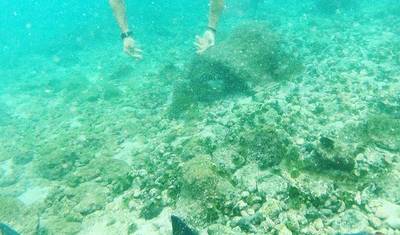 8 Days Galapagos Experiences "Santa cruz and San Cristobal" — 5