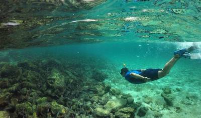 8 Days Galapagos Island Hopping "Santa Cruz & Isabela island" — 5
