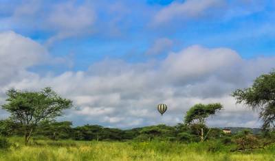 Safari Aéreo de 5 Dias no Serengeti — 5