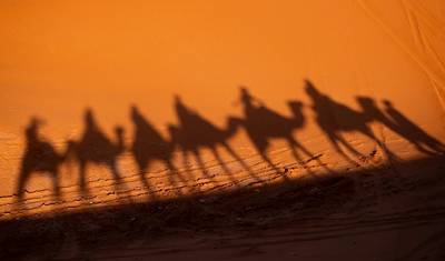 Majestic Morocco: Sahara Desert Adventure — 4