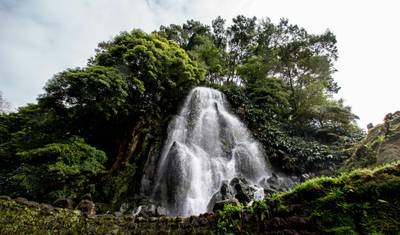 Wycieczka samochodowa po Azorach: Życie wśród jezior i lasów na São Miguel (w tym Fenais da Luz) — 2