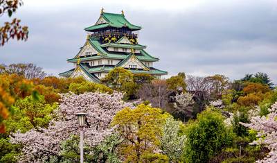 日本を巡る旅：東京タワー、鳥居、そして侍 — 5