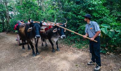 Kostaryka i Panama: Dżunglowe Drogi do Karaibskich Wybrzeży — 5