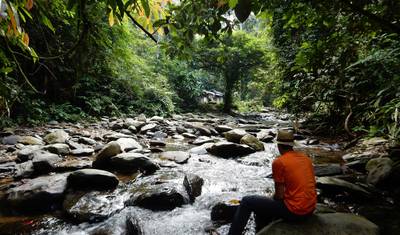 7 days Sumatra Highlights private tour — 2