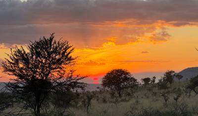 Best of Tanzania Classic Safari  **持続可能な旅のアプローチ** — 3