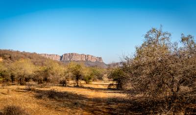 Parque Nacional de Ranthambore - 4 dias — 4