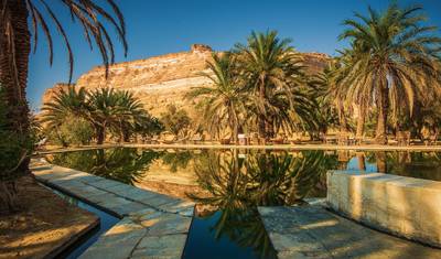Siwa a piece of Heaven 4 Days/ 3 Nights — 5