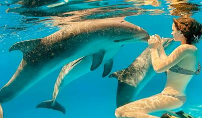 Explore o Nosso Passeio Privado de 1 Dia pela Floresta Jozani e Golfinhos a partir de Uroa, Zanzibar | A Melhor Experiência Guiada e Personalizada em Zanzibar — 4