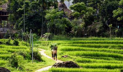 Charming 18-Day Vietnam Adventure from North to South — 2