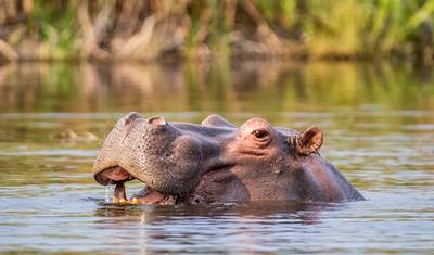 16 Day Botswana Pioneer (Camping) — 4