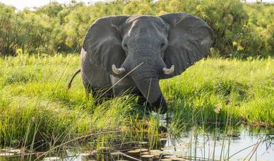 16 Day Botswana Pioneer (Camping) — 3