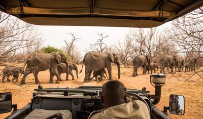 16 Day Botswana Pioneer (Camping) — 5